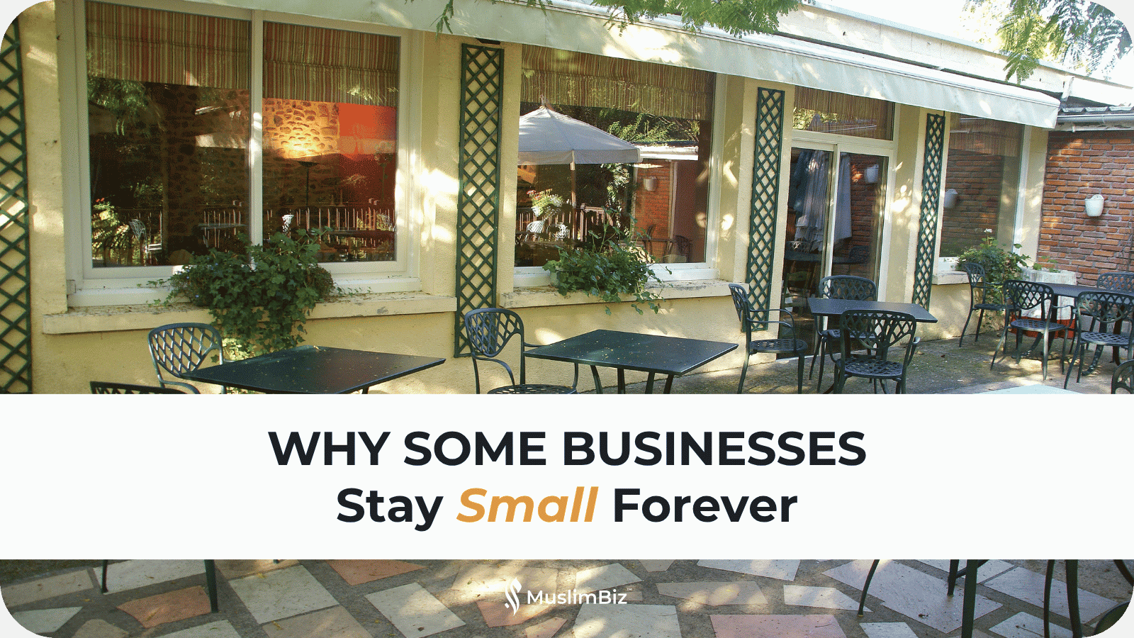 Why Some Businesses Stay Small Forever